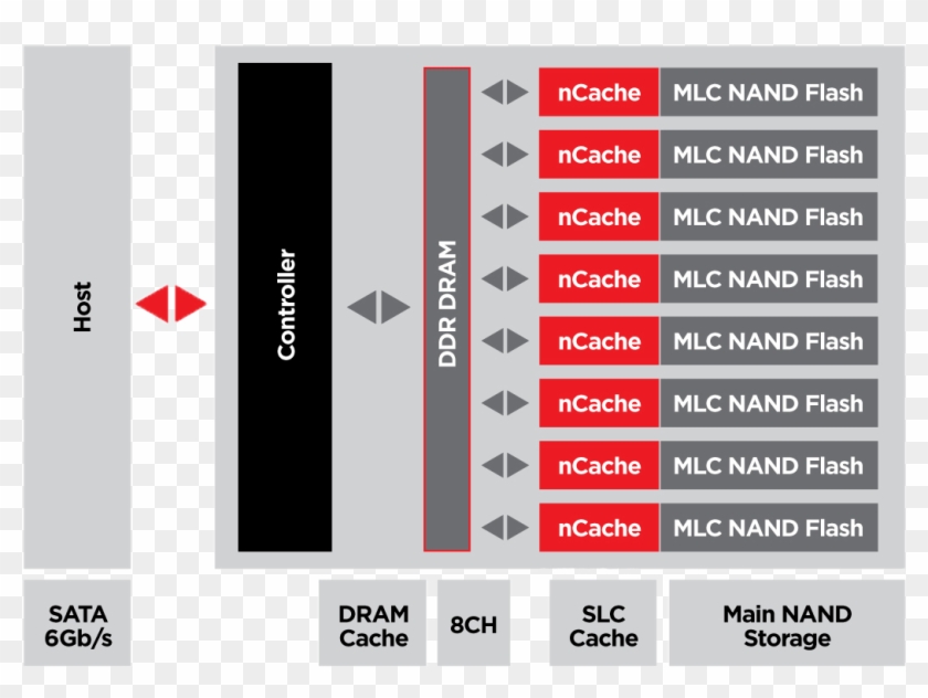Ncache Pro - Sandisk Extreme Vs Extreme Pro Clipart #4866360