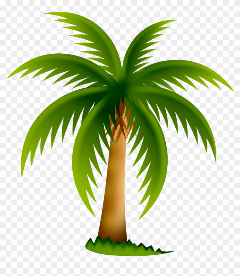 Palmeira Png - Palm Tree Clip Art Transparent Png
