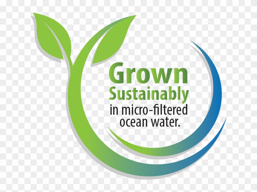 Our Phytoplankton Is Produced On Land And Not Taken Clipart