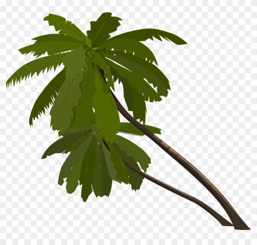 Palmeira Arvore Png - Cartoon Jungle Tree Png Clipart