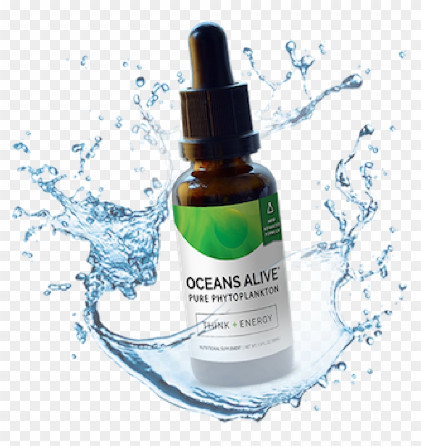 Healthy Inside Healthy Outside - Oceans Alive 2.0 Marine Phytoplankton Clipart #4867771