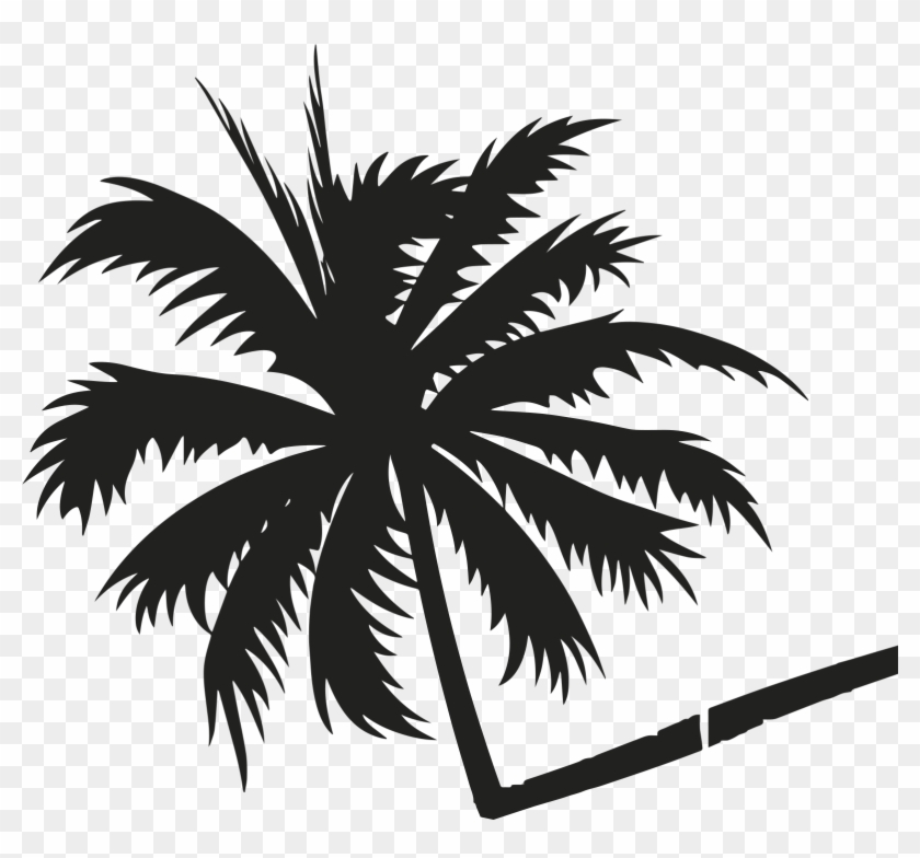Palmeirapreta - Beach Palm Tree Png Clipart