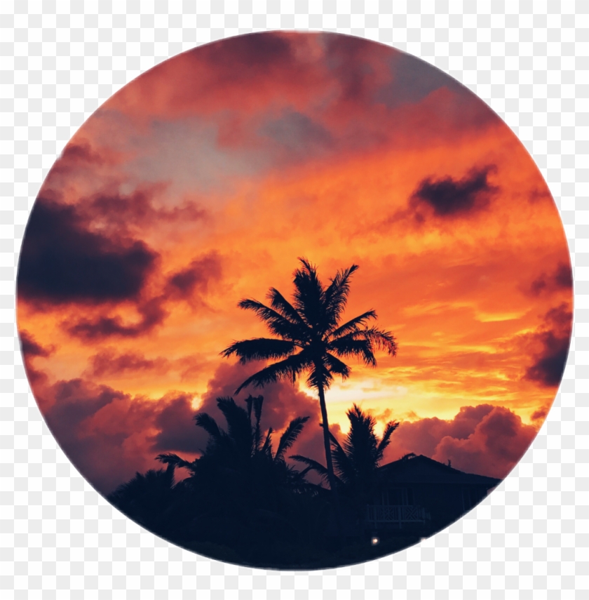 Palmeira Sticker - Sunset Clipart