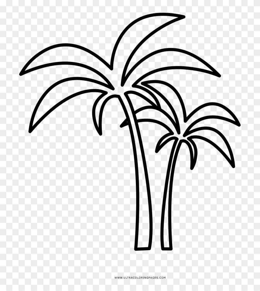 Palm Tree Coloring Page - Desenhos De Uma Palmeira Clipart #4868169