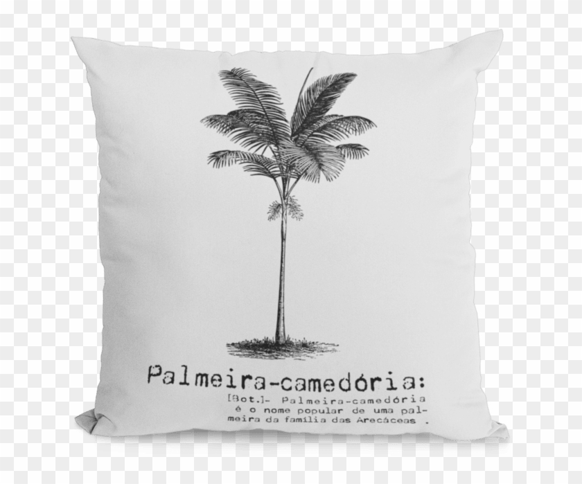 Cushion Clipart #4868465