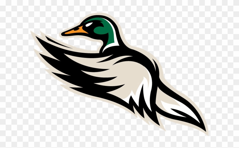 Download - Quad City Mallards Logo Clipart
