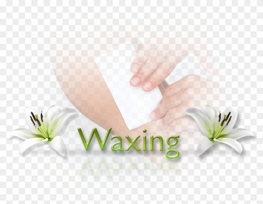 Location & Direction - لوگو اپیلاسیون Clipart #4868536