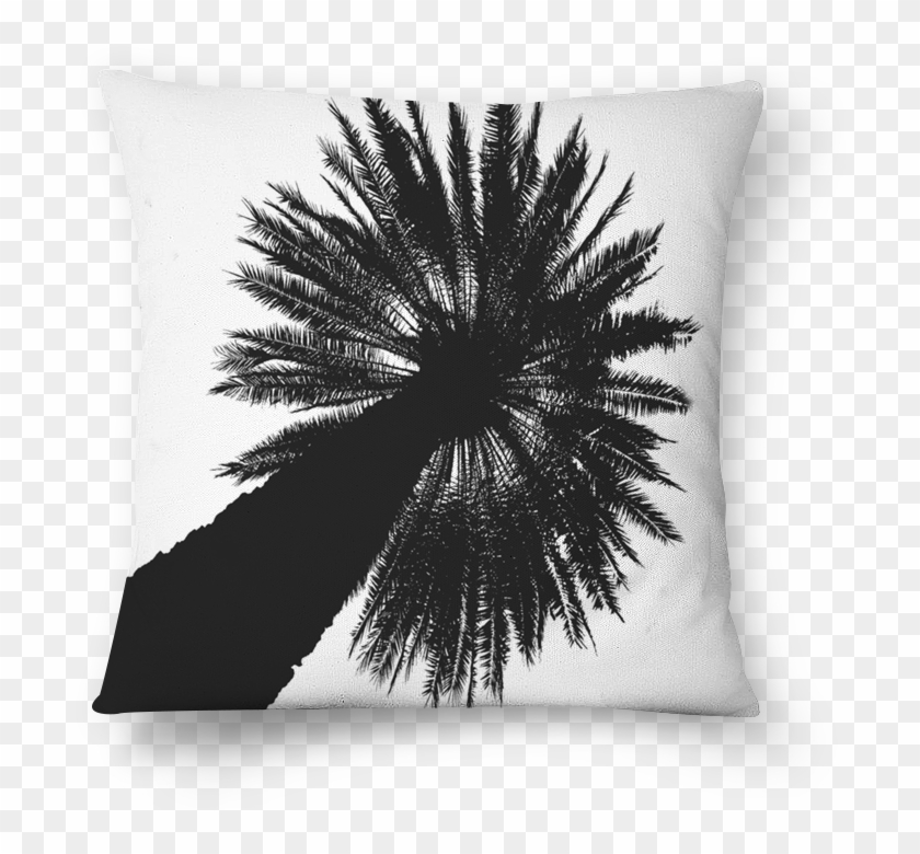 Almofada Palmeira De Julianaantonia Photoartna - Cushion Clipart