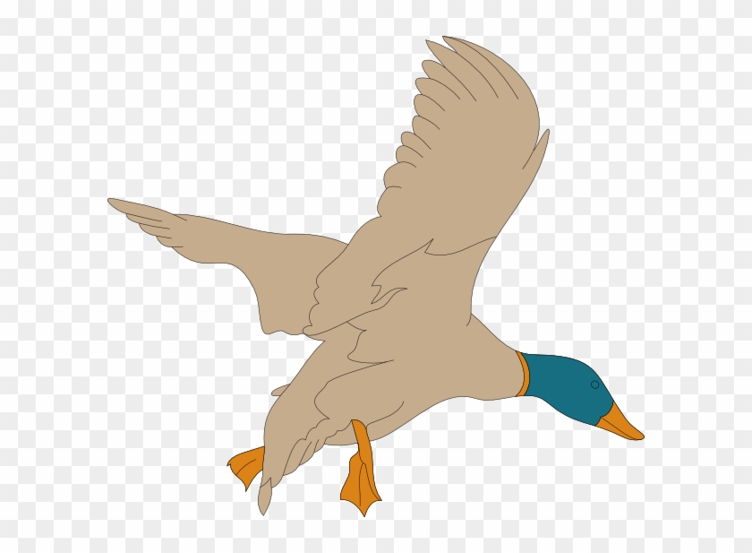 Small - Wild Duck Clipart #4868746