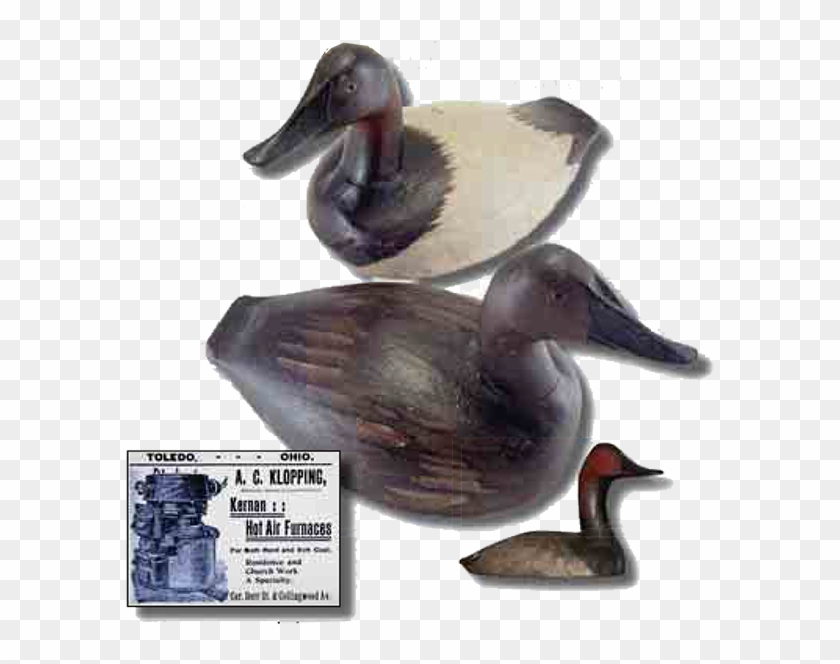 Klopping Family Of Toledo, Ohio - Mallard Clipart #4868920