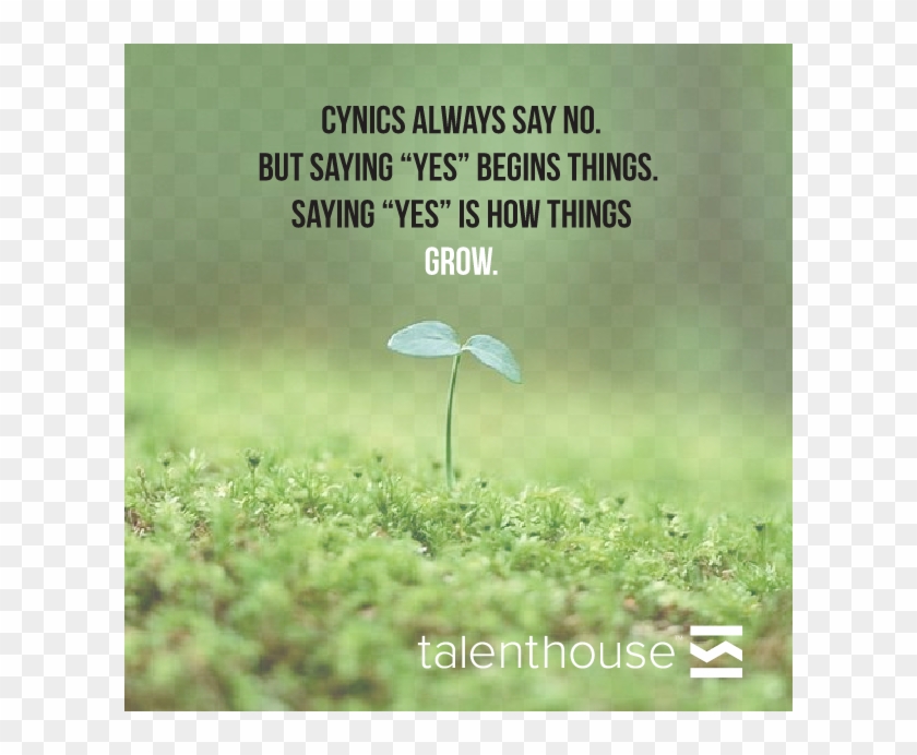 #quote By Stephen Colbert - Bersyukur Atas Nikmat Allah Swt Clipart