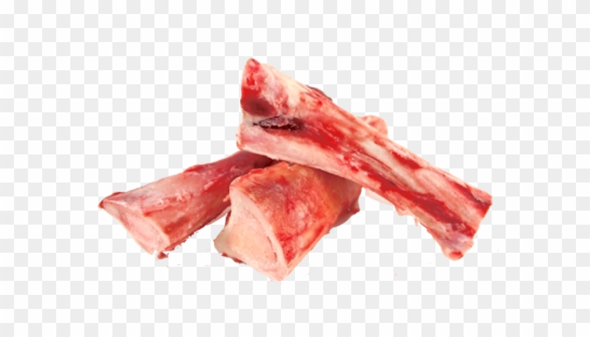 Fresh Beef Marrow Bones - Raw Beef Bone Marrow Clipart