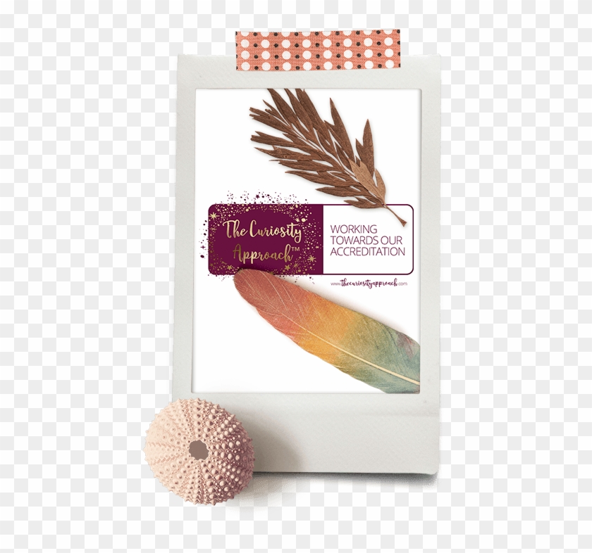 Curiosity Approach Nursery Stalybridge - Paper Clipart