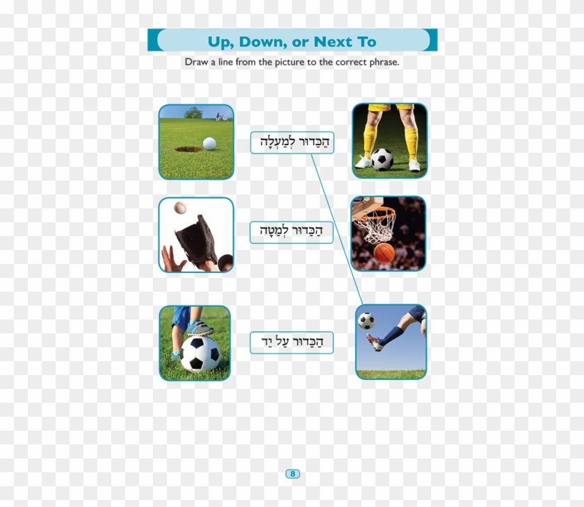 More Modern Heb For Teens - Pet An Animal Clipart