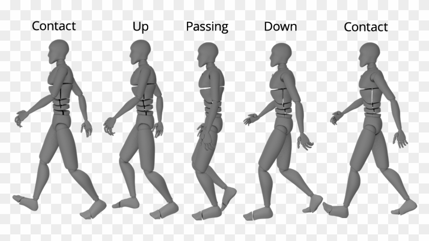 How To Create A Walk Cycle Animation In Blender Pluralsight - Walk Cycle Animation Blender Clipart