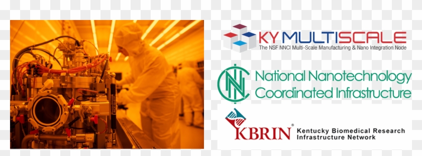 The - Graphic Design Clipart #4873280