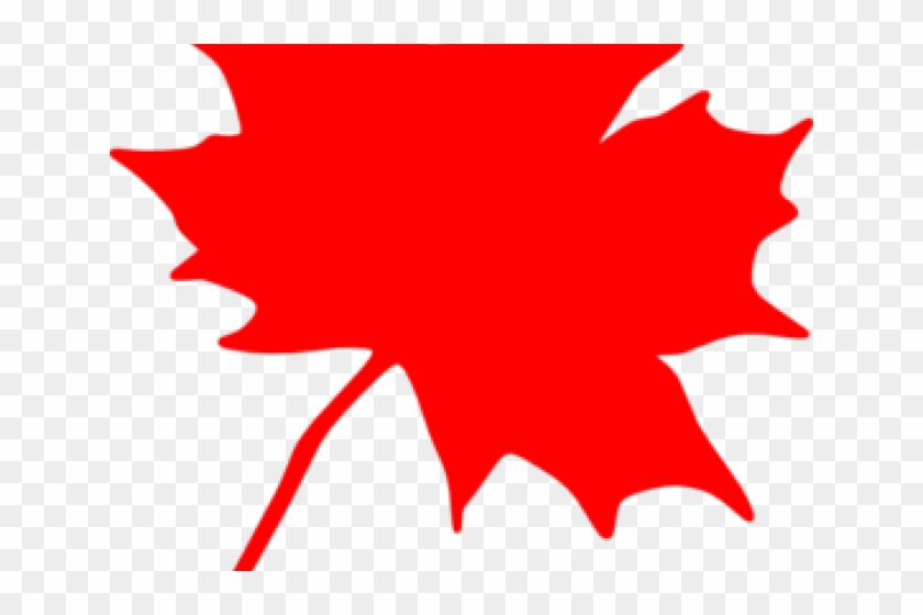 Transparent Maple Leaf Canada Clipart