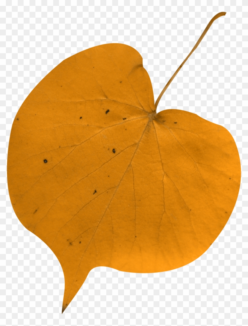 Autumn Clipart