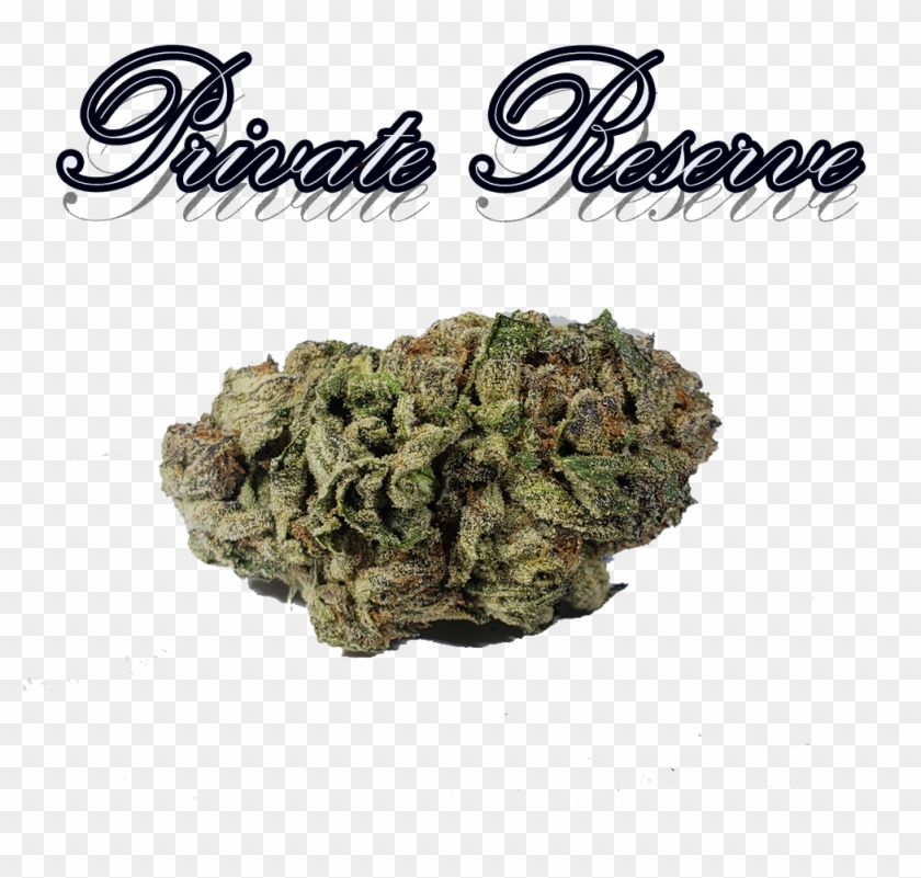 Mochi - Kush Concepts Clipart