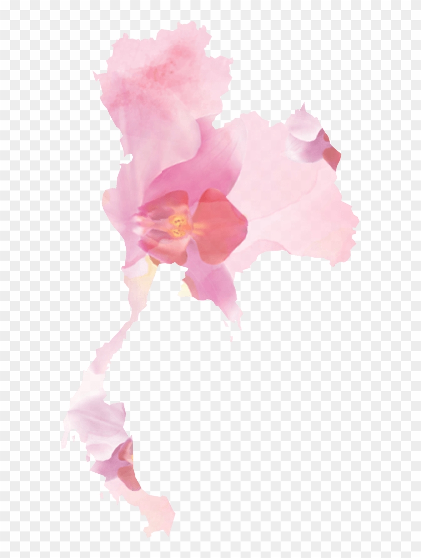 นีโอฟาร์ม ฟาร์มกล้วยไม้ ราชบุรี - Transparent Thai Flowers Clipart