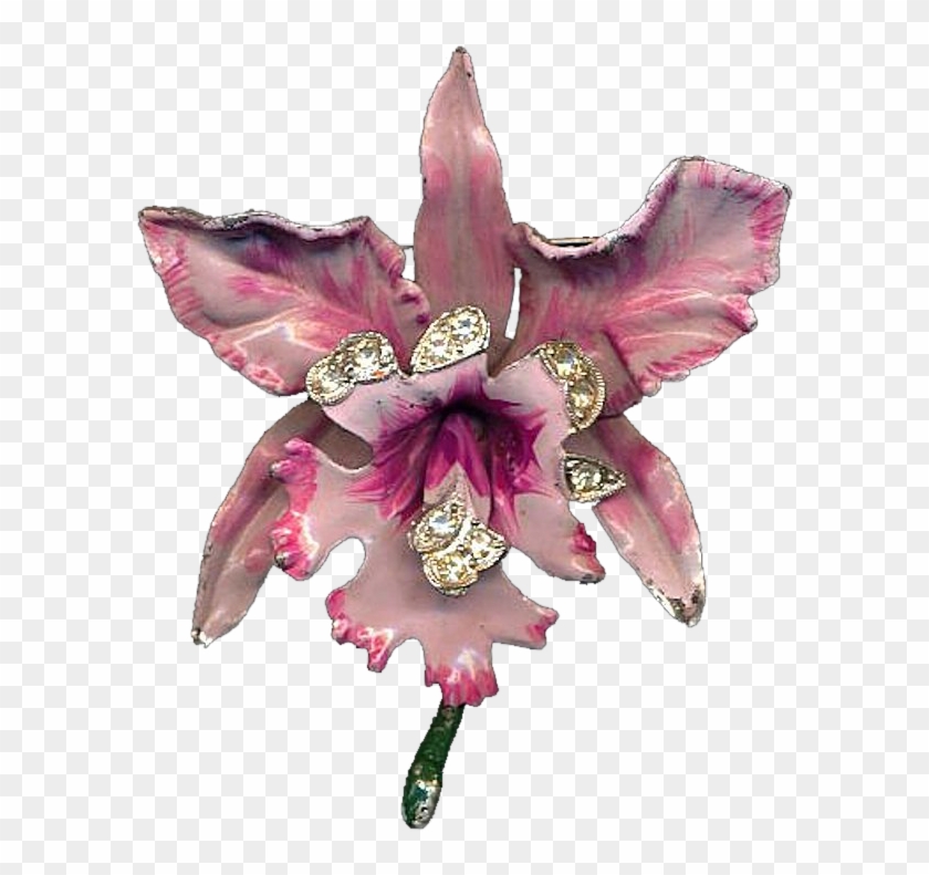 Vintage 1940s Pink Orchid Enamel Rhinestone Pin Brooch - Artificial Flower Clipart #4880044