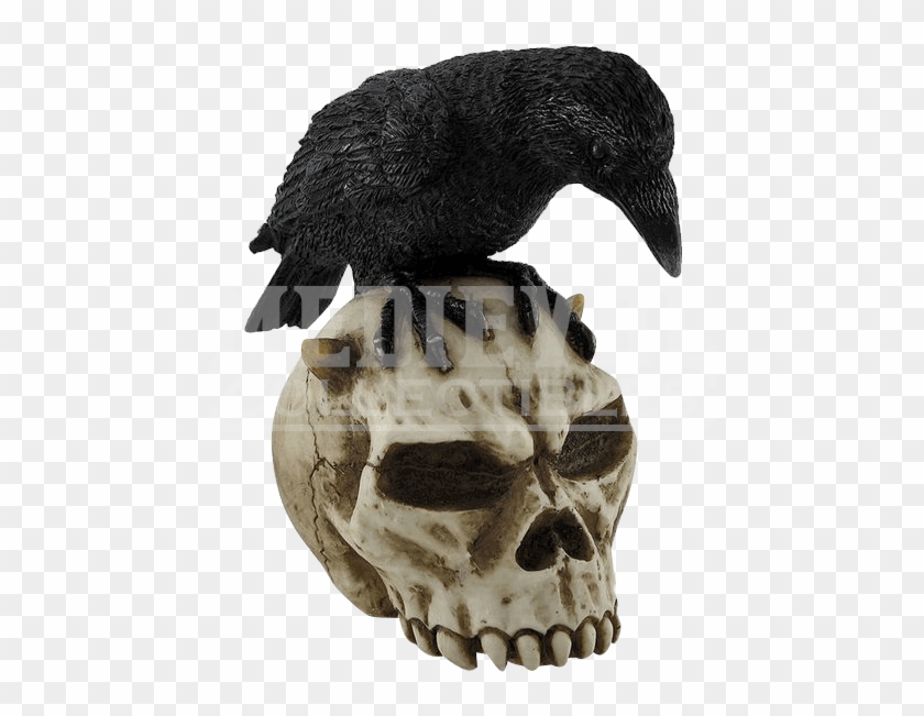 Crow Shift Knob Clipart