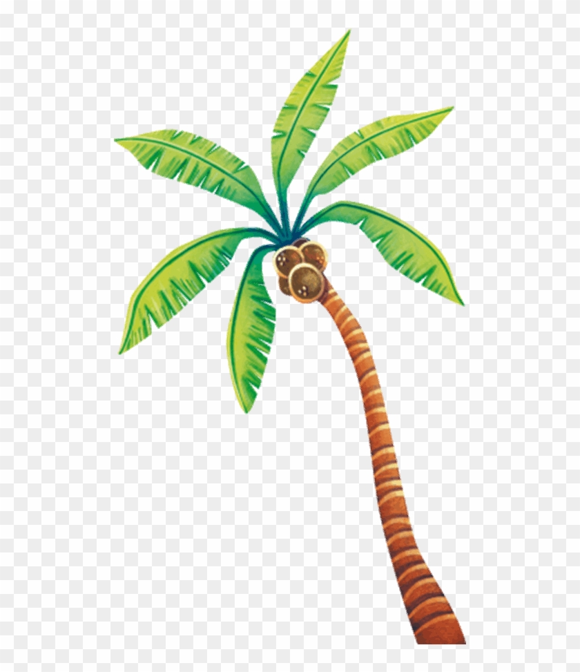 Palma Disegno Png - Palma Da Cocco Png Clipart #4882498
