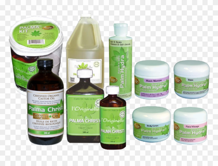 Palma Christi - Palm Christi Clipart