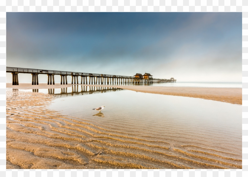 The Shop - Pier Clipart #4883809