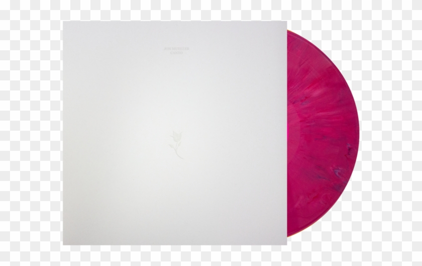 $20 - - Circle Clipart #4883983