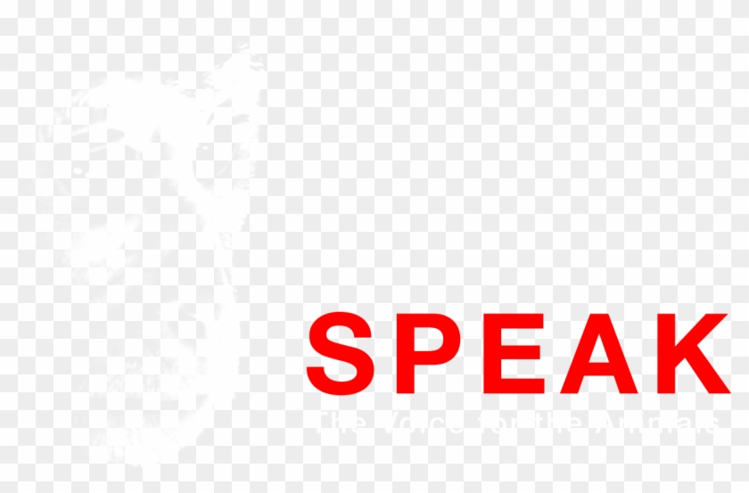 Freedom Of Speech Clipart