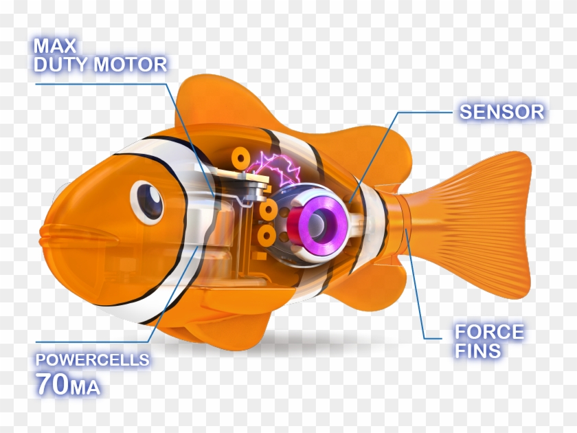 3/4 Real-life Pets - Cartoon Clipart