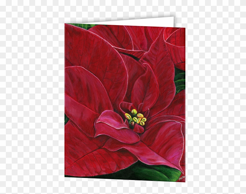 Poinsettia Passion Greeting Cards - Poinsettia Clipart #4886130
