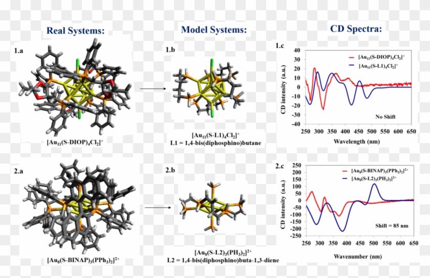 Chiroptical Activity Of Bisphosphine-stabilized Gold - Graphic Design Clipart #4886211