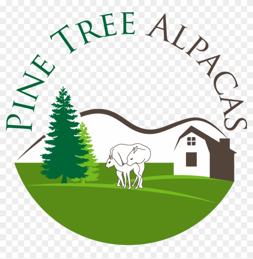 Pine Tree Alpacas - Pine Tree Silhouette Clipart #4886791