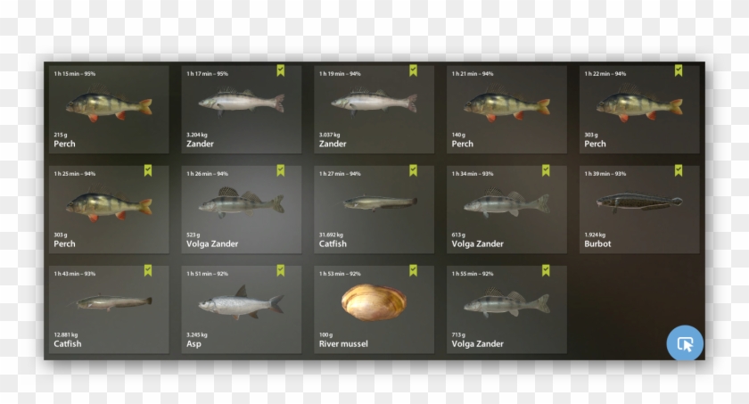 Ashampoo Snap - Boeing C-17 Globemaster Iii Clipart #4887064