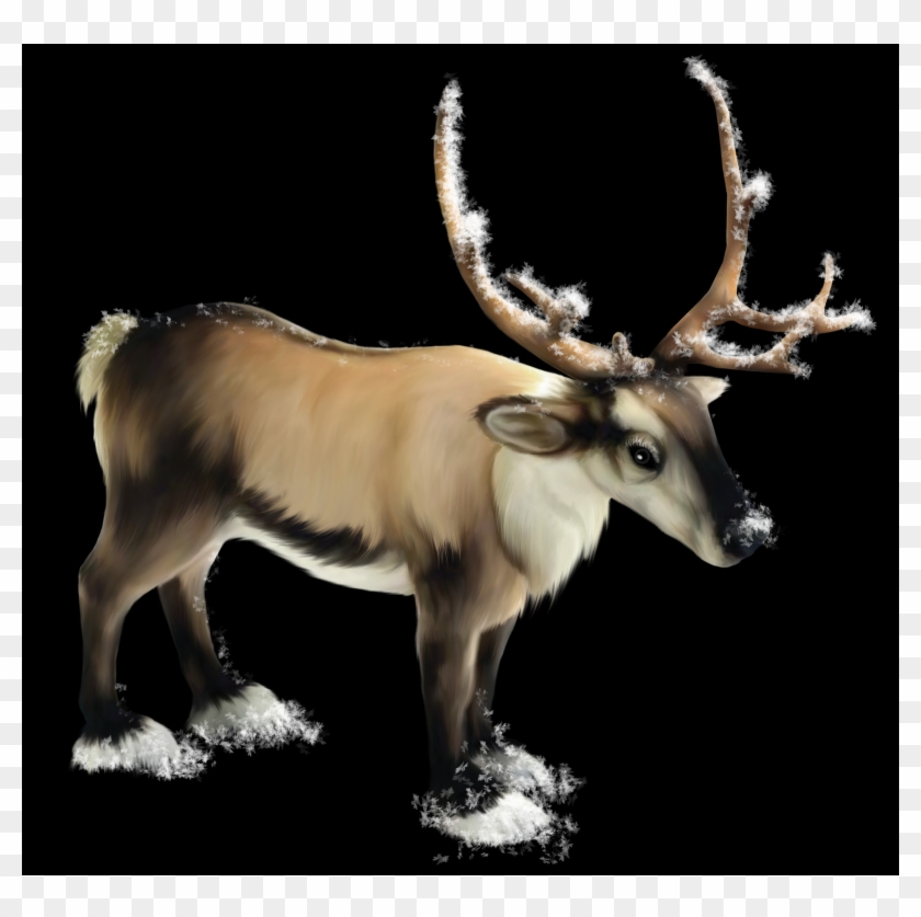 Reindeer, Free Png Collection - Elk Clipart #4887328