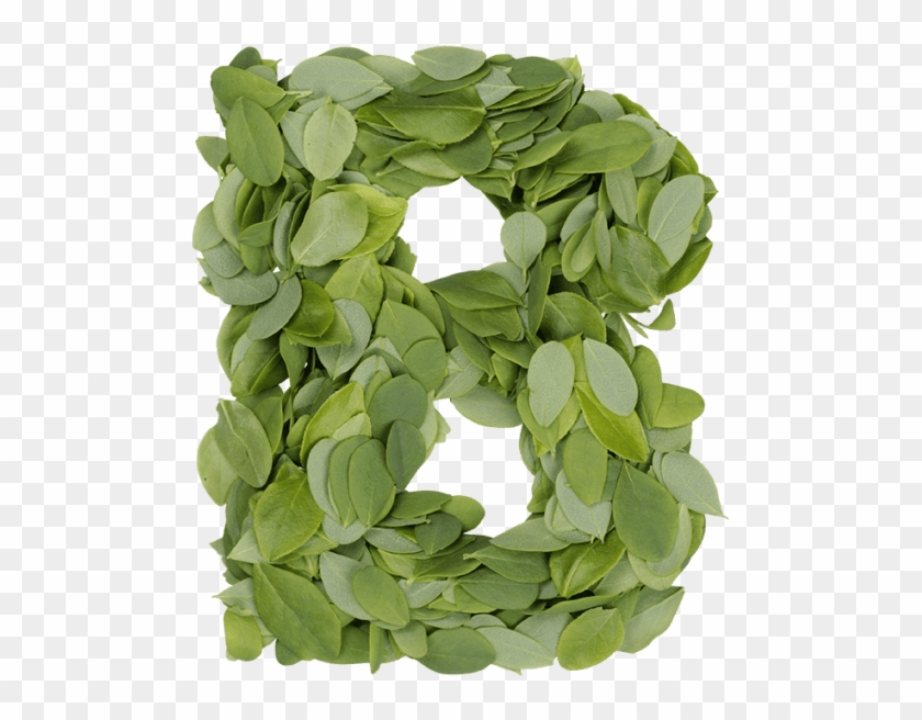 Summer Leaves Font - Wreath Clipart #4887620