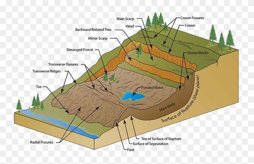 Landslide And Sinkholes - Diagram Of A Landslide Clipart #4888800