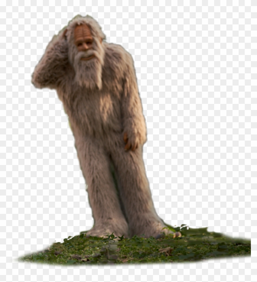 Image 1 Image 2 - Rhesus Macaque Clipart