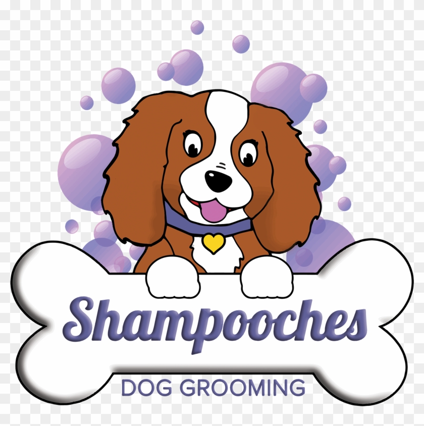 Png - Cavalier King Charles Spaniel Clipart