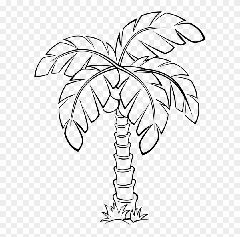 Sabal Palm Palm Trees Flowering Plant Drawing - Palm Tree Clipart Outline - Png Download