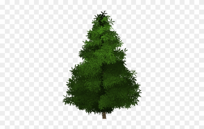 Spruce Tree Painted Tree Green Nature Plant - ต้นไม้ วาด Png Clipart #4895065