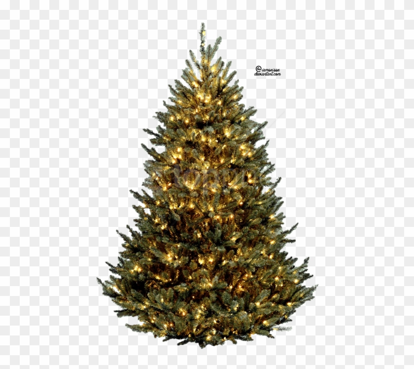 Free Png Christmas Tre Png Images Transparent - Christmas Trees Clipart #4895169