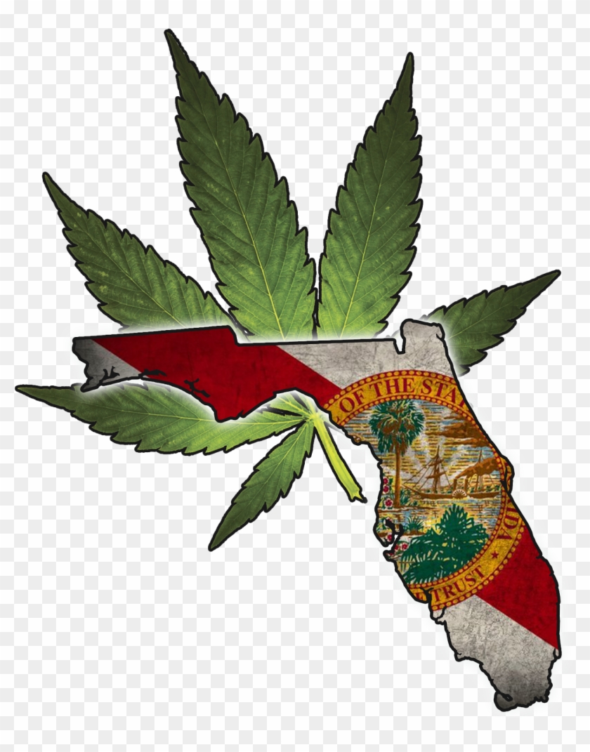 Amendment 2 On Florida's Ballot Was Passed By 71% Of - Florida State Flag Clipart #4895561