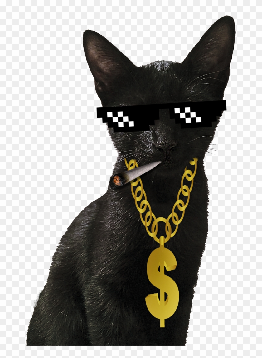 Tagged "mug Life" Crazy Cat Crack - Black Cat Clipart