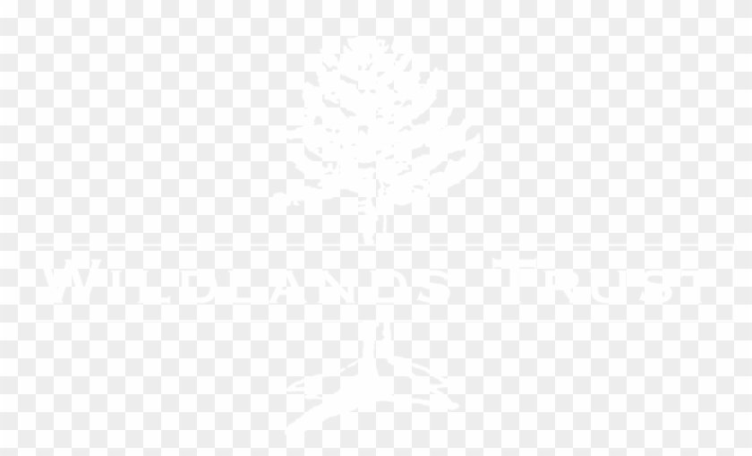 Help Us Get An Ad In The Boston Globe Clipart