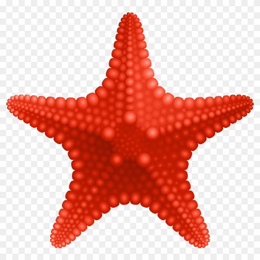Starfish Png Clipart #490188