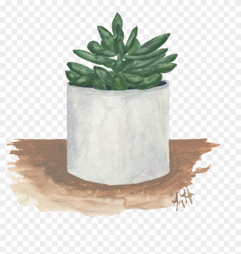Succulent - Flowerpot Clipart #490557