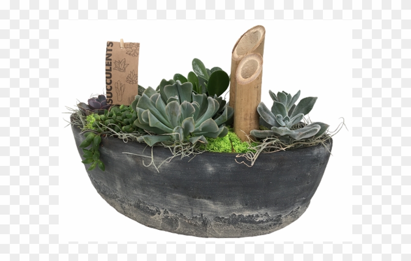The Succulent Boat - Flowerpot Clipart